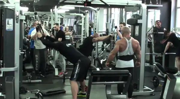 Słodkiewicz Gym Poznań: Sprzęt, Cennik, Opinie - Wszystko, Co Musisz Wiedzieć