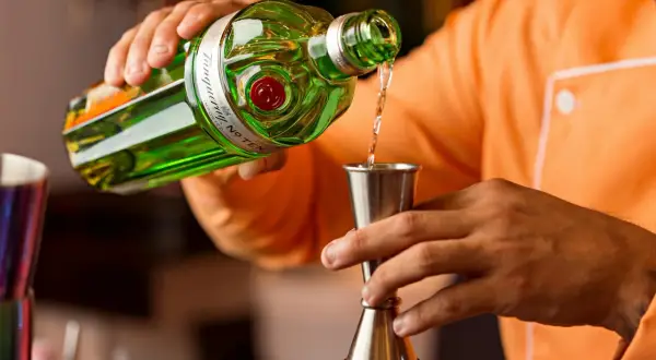 Barman nalewa gin do kieliszka, przygotowując idealny martini.