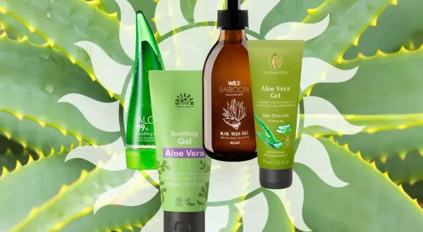 Vier Produkte mit Aloe Vera Gel, umgeben von Aloe-Pflanzen. Reine Aloe Vera Gel für natürliche Pflege.