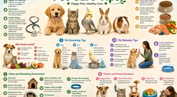 Learn how to take care of a dog with these comprehensive pet care tips covering health, grooming, behavior, food, safety, and playtime.