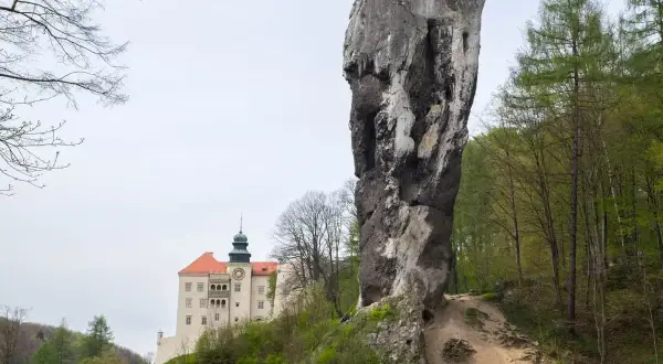 Skała w kształcie maczugi i zamek na wzgórzu to malowniczy widok na jura krakowsko częstochowska trasa.