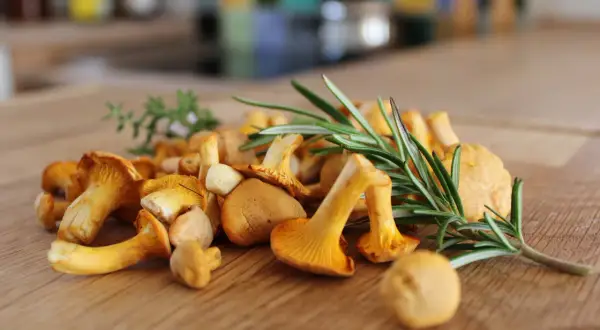 Un mucchio di finferli dorati, che dimostrano come i funghi sono verdure, con rametti di rosmarino su un tagliere di legno.