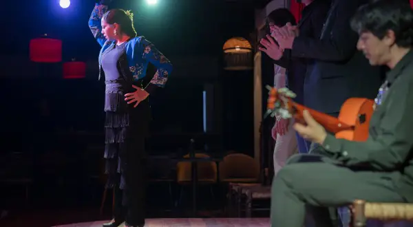 Una bailaora de flamenco, con su falda de flecos y chaqueta bordada, cautiva al público. A su lado, músicos y palmeros acompañan con pasión.