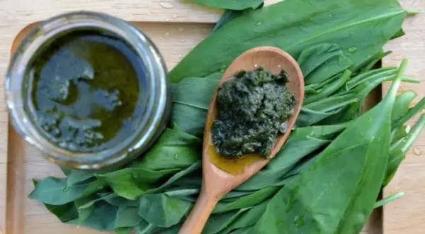 Pesto z czosnku niedźwiedziego: Przepis krok po kroku + Sekrety!
