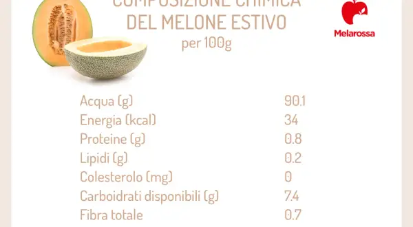 Melone retato: 34 kcal per 100g. La tabella mostra la composizione chimica, con acqua, proteine, lipidi, carboidrati e fibra.