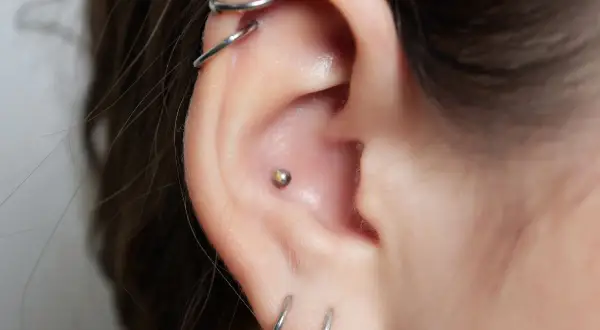 Ucho z kilkoma kolczykami, w tym vch piercing z małą kulką.