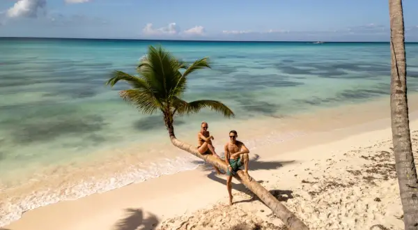 Para na palmowym drzewie na plaży, idealne miejsce na Mauritius na własną rękę.