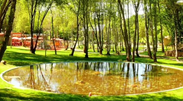 Un estanque circular refleja los árboles en un parque con un área de juegos y mesas al aire libre. Un lugar perfecto para un paseo tranquilo.