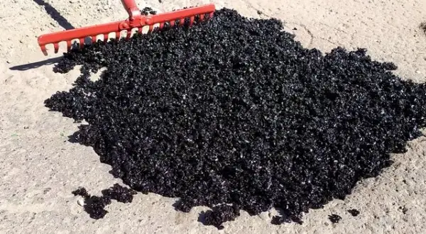 Ile schnie asfalt na zimno? Sprawdź, kiedy możesz jeździć po naprawie