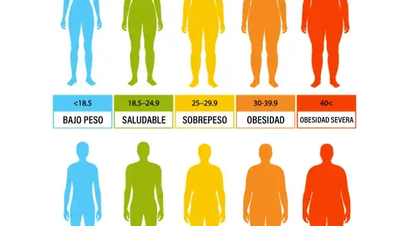 Masa muscular ideal en kg: ¿Estás por debajo de lo saludable?