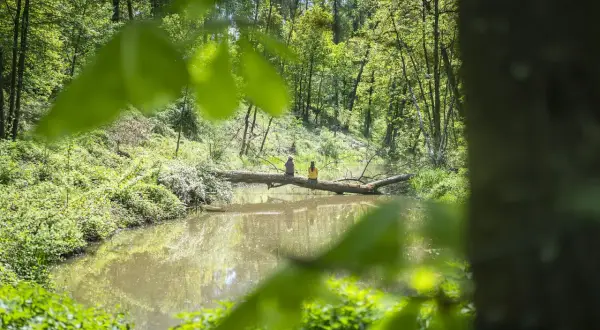 Zwei Personen sitzen auf einem Baumstamm über einem Teich im Wald. Die Fossa Carolina ist ein Ort der Ruhe.