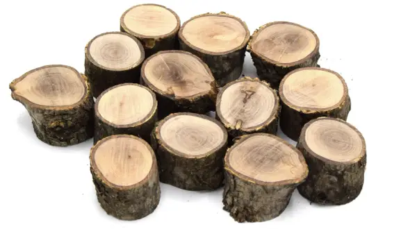 Montón de troncos de madera en bruto, listos para comprar y usar en manualidades o decoración.