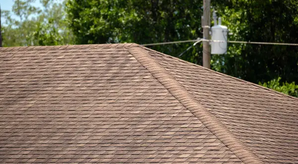 A brown asphalt shingle roof, showing signs of algae growth, possibly Gloeocapsa magma, with trees and a utility pole in the background.