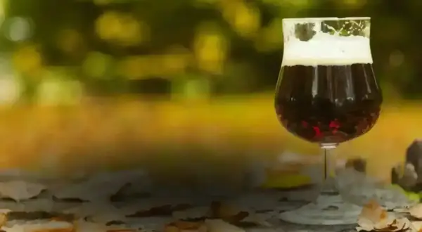 Un bicchiere di birra porter scura con schiuma cremosa, su un tavolo autunnale con foglie cadute.