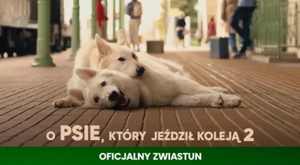 Film o psie który jeździł koleją dla dzieci – wzruszająca historia przyjaźni