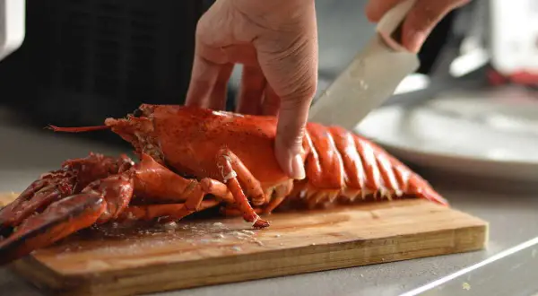 Préparation d'un homard pour un accompagnement homard froid. Une main tient le homard pendant qu'une autre le coupe sur une planche à découper.