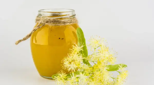 Ein Glas goldgelber Lindenhonig, verziert mit Juteschnur, neben frischen Lindenblüten. Lindenhonig gesund und wohltuend.