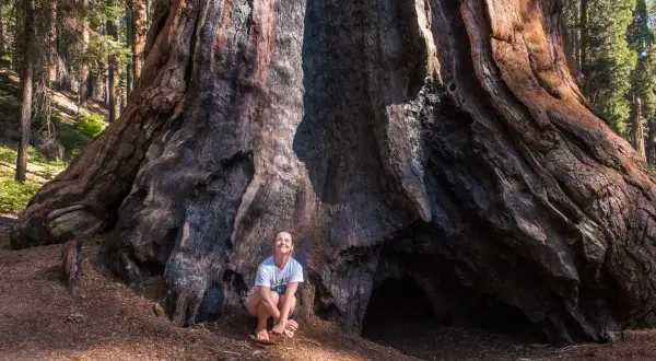 Kobieta kuca u podstawy gigantycznej sekwoi w USA. Monumentalne drzewo ma pofałdowaną, ciemną korę i ogromny otwór.