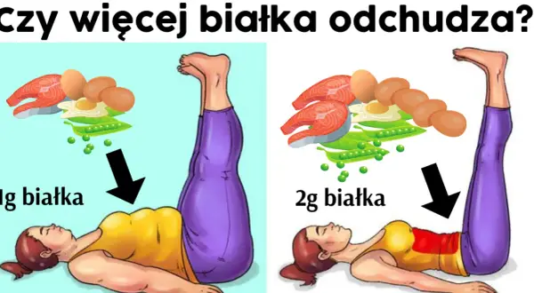 Białko na redukcji: Ile jeść, by spalać tłuszcz i chronić mięśnie?