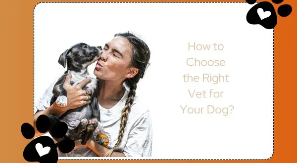 A woman kisses a puppy. Text reads: "How to Choose the Right Vet for Your Dog?