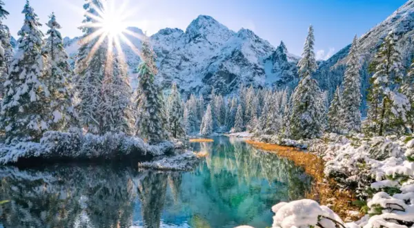Morskie Oko zimą, otoczone ośnieżonymi świerkami i górami, odbija się w turkusowej tafli wody. Słońce przebija się przez drzewa, tworząc promienie.