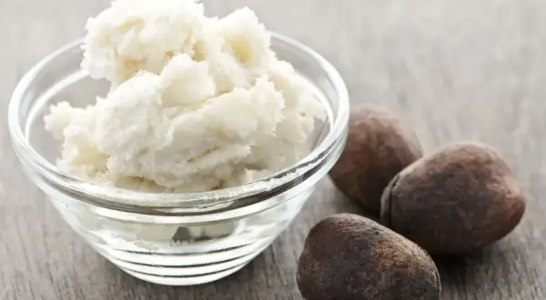 Schüssel mit cremiger Parkii Butter neben drei braunen Nüssen auf Holzhintergrund.