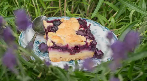 Ein Stück Heidelbeerkuchen mit Vanillepudding, umgeben von Lavendel.