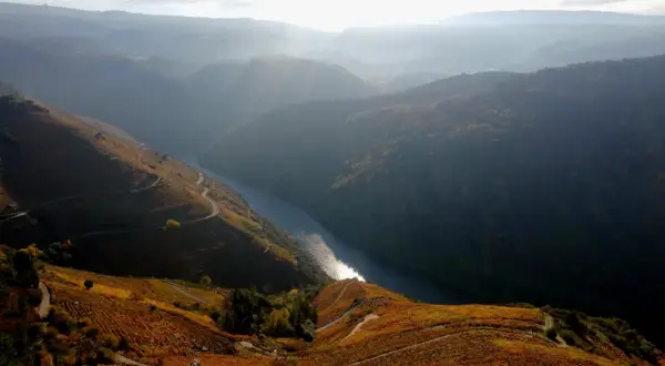 Vistas impresionantes desde el mirador Pena do Castelo, con un río serpenteante y viñedos otoñales dorados.