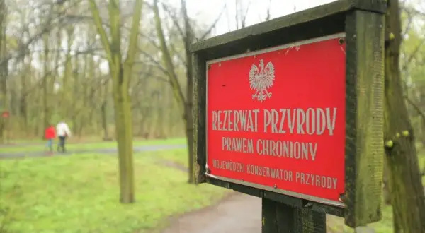 Czerwony znak informuje o rezerwacie przyrody. W tle spacerują dwie osoby pośród drzew.