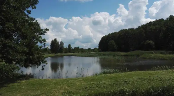 Spokojne łowisko Przemka nad jeziorem, otoczone zielenią i chmurami.