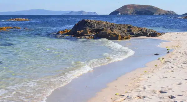Aguas cristalinas acarician las **islas de Ons playas** de arena dorada. Rocas oscuras emergen del mar azul, mientras gaviotas planean en el cielo despejado.