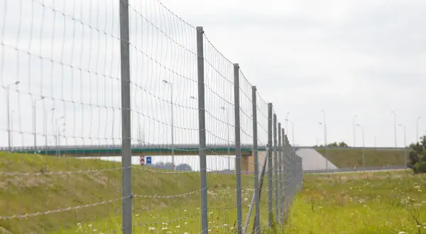 Siatka leśna z metalowymi słupkami biegnie wzdłuż drogi. W tle widać wiadukt i latarnie.