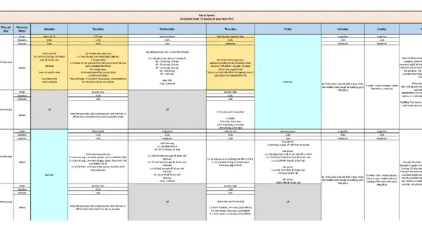 Triathlete training plan with swim, bike, and run workouts. Includes daily schedules and notes for a 16-week program.