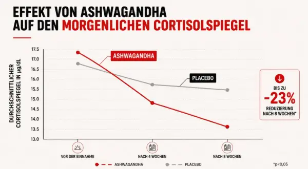 Grafik zeigt, wie Ashwagandha den morgendlichen Cortisolspiegel senkt. Bis zu 23% Reduzierung nach 8 Wochen, was bei der Gewichtsabnahme helfen kann.