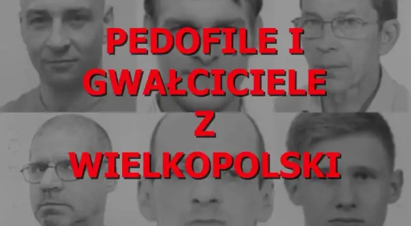 Zbiór twarzy mężczyzn z Wielkopolski. Napis głosi "PEDOFIL I GWAŁCICIELE Z WIELKOPOLSKI".