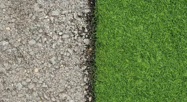 Superficie de asfalto gris y césped natural verde vibrante, mostrando la transición de poner césped artificial sobre césped natural.