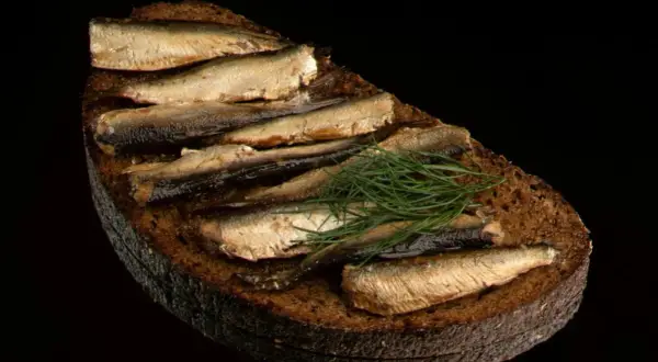 Kanapka z szprotkami na ciemnym chlebie z koperkiem. Czy szprotki są zdrowe? Tak, to bogactwo kwasów omega-3.