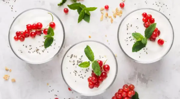 Trzy pucharki z jogurtem naturalnym, udekorowane porzeczkami i miętą. Zastanawiasz się, ile cukru ma jogurt naturalny? Ten jest pyszny i zdrowy!