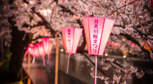 Czy w Japonii jest bezpiecznie? Prawda o bezpieczeństwie w kraju kwitnącej wiśni