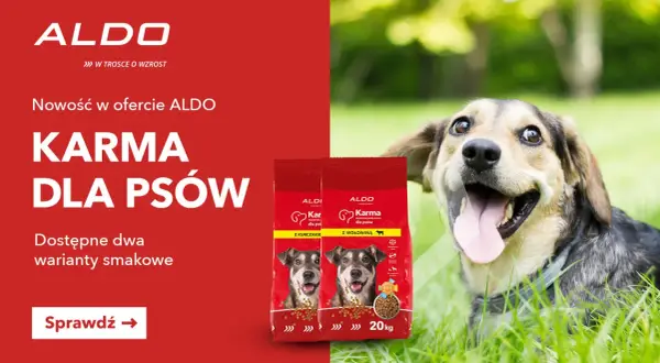 Szczęśliwy pies na trawie obok dwóch paczek karmy dla psów ALDO. Sprawdź, ile kosztuje karma dla psa i wybierz smak kurczaka lub wołowiny.
