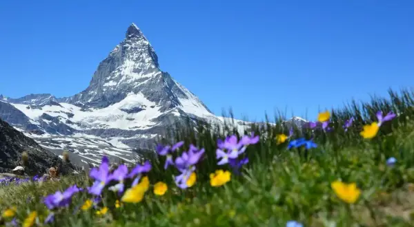 Urlaub in den Bergen: Ihre Top-Regionen & Tipps für 2024