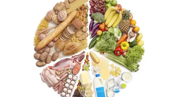 Un assortiment de nourriture : céréales, fruits, légumes, viandes, poissons, œufs, produits laitiers, et sucreries. Savoir quel aliment fait grossir est essentiel pour une alimentation équilibrée.