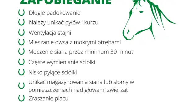 Zadbaj o zdrowie koni: zapobieganie chorobom układu oddechowego poprzez odpowiednią wentylację, czystą ściółkę i unikanie kurzu.