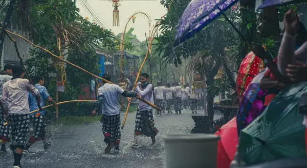 Mocny deszcz na Bali podczas pory deszczowej. Mężczyźni w tradycyjnych sarongach idą z drewnianymi tyczkami, a widzowie chronią się pod kolorowymi parasolami.