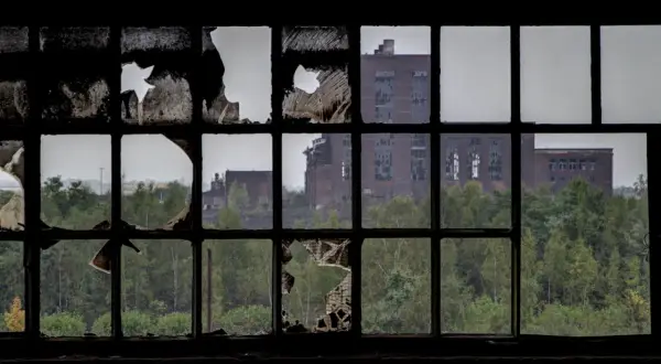 Through a broken window pane, a scene of urbex photography unfolds: decaying brick buildings stand amidst overgrown trees, a testament to time's passage.