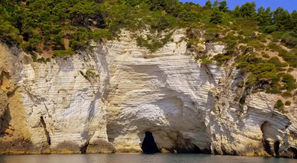 Scogliere bianche e grotte marine, un vero spettacolo da vedere a Vieste, con la macchia mediterranea che abbraccia la costa.