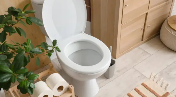 Un élégant WC blanc, prêt à l'emploi, avec un rouleau de papier toilette à proximité. Un choix judicieux pour votre salle de bain.