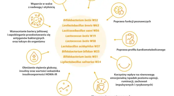 Sanprobi Barrier wspiera walkę z nadwagą, wzmacnia barierę jelitową, poprawia funkcje poznawcze i profil kardiometaboliczny.