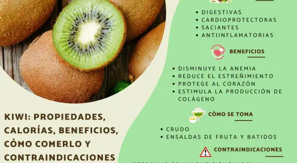 Kiwi: propiedades digestivas, cardioprotectoras y antiinflamatorias. Beneficios para la anemia y el corazón.