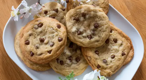 Schokoladenkekse auf einem Teller, verziert mit Kirschblüten. Ein einfaches Cookies Rezept, das immer gelingt und Freude macht.